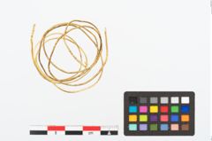 Foto von Goldspiralarmring (NHMW-PRAE-024728)